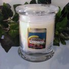 Tropical Fruit Scented 13 oz Status Rock Jar Wax Candle