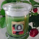Strawberry Kiwi Scented 13 oz Status Rock Jar Wax Candle