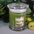 Granny Smith Apple Scented 13 oz Status Rock Jar Wax Candle