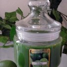 Lime Scented Apothecary Glass Jar Wax Candle 16 Oz.