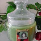 Strawberry Kiwi Scented Apothecary Glass Jar Wax Candle 16 Oz.