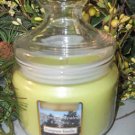Evergreen Vanilla Scented Wax Candle in Apothecary Glass Jar 16 Oz.