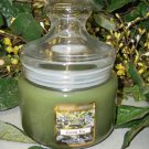 Green Tea Scented Apothecary Glass Jar Wax Candle 9.5 Oz.