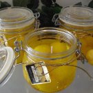 Fresh Lemon Scented Glass Gel Citrus Preserve Jar Candle 16 Oz.