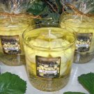 Magnolia Scented Glass Gel Floral Preserve Jar Candle 16 Oz.