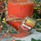 Papaya Scented Round Pillar Candle 16 Oz.