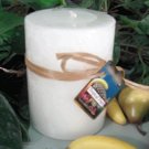 Tropical Fruit fruit Scented Round Pillar Candle 23 Oz.
