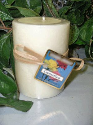 Carnation Scented Round Pillar Candle 16 Oz.