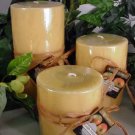 Golden Delicious Apple Scented Round Pillar Set of 3 (13,16 and 23 Oz. Size)