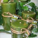 Granny Smith Apple Scented Round Pillar Set of 3 (13,16 and 23 Oz. Size)
