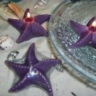 Floating Lavender Starfish Tranquility Scented Candle (Set of 3)