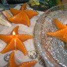 Floating Brownish Orange Starfish Serenity Scented Candle (Set of 3)