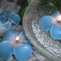 Light Blue Periwinkle Flower- Floral Scented Floating Candle (3 Pack)