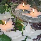 Floating Butterfly - White Gardenia Scented Floating Candle (3 Pack)
