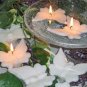 Floating Butterfly - White Gardenia Scented Floating Candle (3 Pack)
