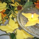Floating Butterfly - Yellow Honeysuckle Scented Floating Candle (3 Pack)