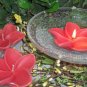 Pink Plumeria Flower- Plumeria Scented Floating Candle (3 Pack)