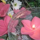 Soft Pink Plumeria Flower- Floral Scented Floating Candle (3 Pack)