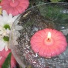 Pink Daisy Floral Scented Floating Candles (3-Pack)