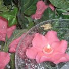 Pink Sweet Pea Floral Scented Floating Candles (3-Pack)