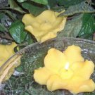 Yellow Sweet Pea Floral Scented Floating Candles (3-Pack)