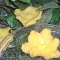 Yellow Sweet Pea Floral Scented Floating Candles (3-Pack)