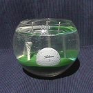 FORE