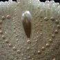 $20 Bridal Wedding Veil Prom Pageant Pearl&cristals Loop-Round Tiara,Crown Headband