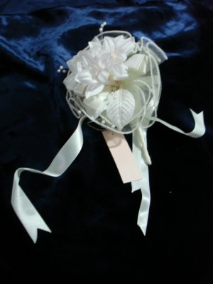 $9.99 Bridal Wedding Veil Prom Pageant Pearl&Satin Head Piece tiara,Crown Headband