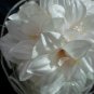 $9.99 Bridal Wedding Veil Prom Pageant Pearl&Satin Head Piece tiara,Crown Headband