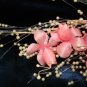 $9.99 Bridal Wedding Veil Prom Pageant Pearl&pink Satin Head Piece tiara,Crown Headband