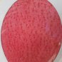 NEW UNNEX golden sparkles Glitter on RED Fashion Pantyhose, ONE SIZE 90-165 LBS