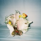 Large Seashell Scene