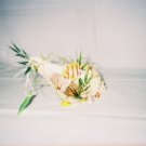 small Seashell Scene
