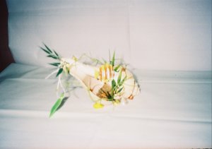 small Seashell Scene