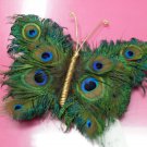 Peacock Feather Butterfly-temporarily out of stock