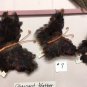 Pheasant Feather Butterflies