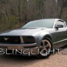 Ford Mustang Tinted Smoked Protection Overlays for Headlamps Headlights Head Lamps Lights ALL YEARS