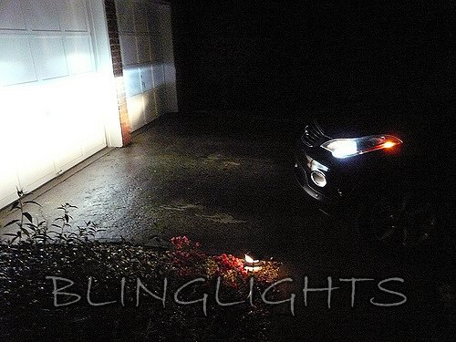 2008 2009 2010 2011 Infiniti EX35 Light Bulbs for Halogen Headlamps Headlights Head Lamps Lights