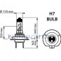 H7 Rising Super White 3950K 55W Replacement Light Bulb Set of 2