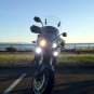 Triumph Tiger LED Flood Lights Auxiliary Lamp Kit