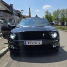 BlingLights Brand Bright White Halogen Head Light Bulbs for Ford Mustang all years BlingLights Brand Bright White Halogen Head Light Bulbs for Ford Mustang all years
