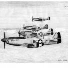 P-51D Mustang Squadron