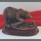 Bronzed grizzly Catching Fish
