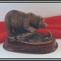 Bronzed grizzly Catching Fish