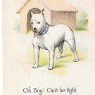 Patriotic American Bull Terrier Regal Umbrella Co 1917 Trade Postcard Oh Boy! Can't He Fight Patriotic American Bull Terrier Regal Umbrella Co 1917 Trade Postcard Oh Boy! Can't He Fight