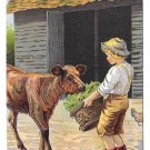 Dr Free's York Dental Parlors Boy feeding Calf 3.5" X 5.5 Trade Card