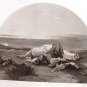 Steel Engraving The Soldiers Death Bed 1854 J W Glass Ornaments of Memory