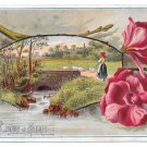 Antique Victorian Reward of Merit Card Girl Herding Geese PC Size Unused Lithograph
