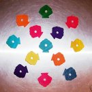 24 Colored Wood Sea Shells bird toy parts parrots cages